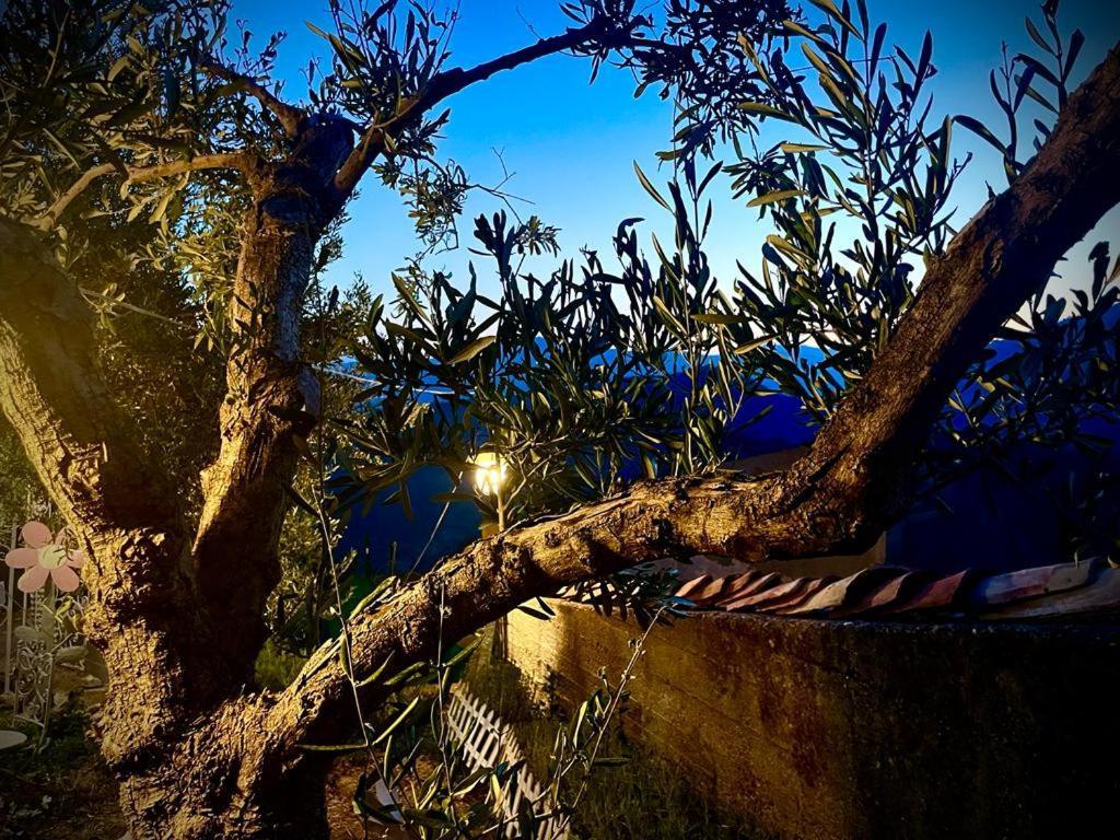 La Casina Di Venere Hotel Savoca Exterior foto